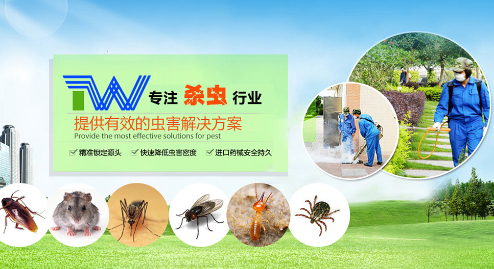 郑州杀虫公司